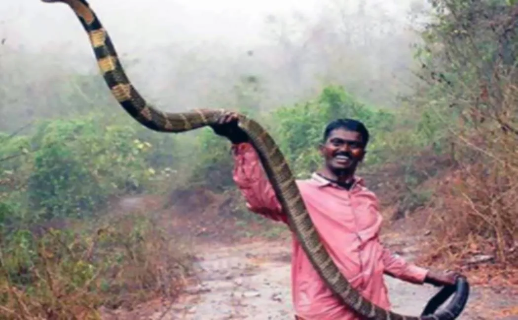 கதச